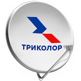 Триколор Сосновый Бор